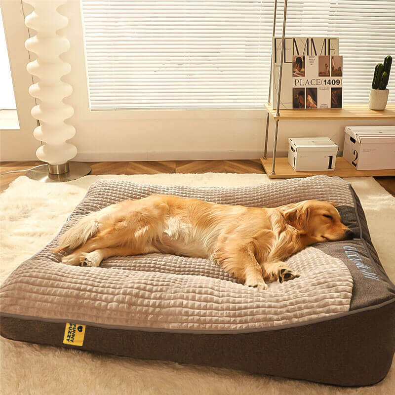 Dog Bed shown in product gallery view 3