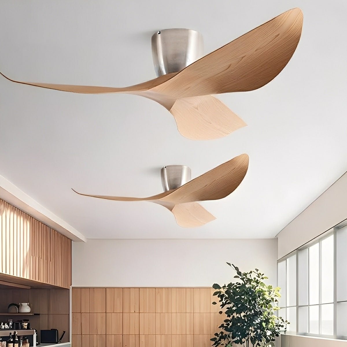 Ceiling Fan shown in product gallery view 1