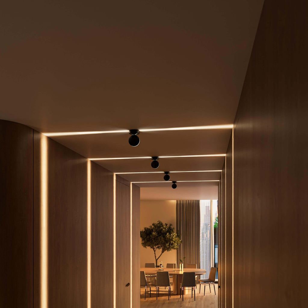 ceiling light shown in source gallery view 12.
