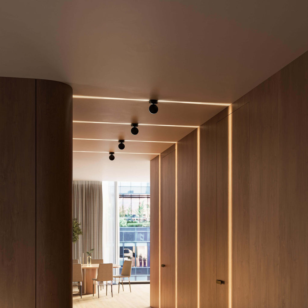 ceiling light shown in source gallery view 13.