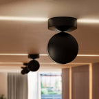 ceiling light shown in source gallery view 9.