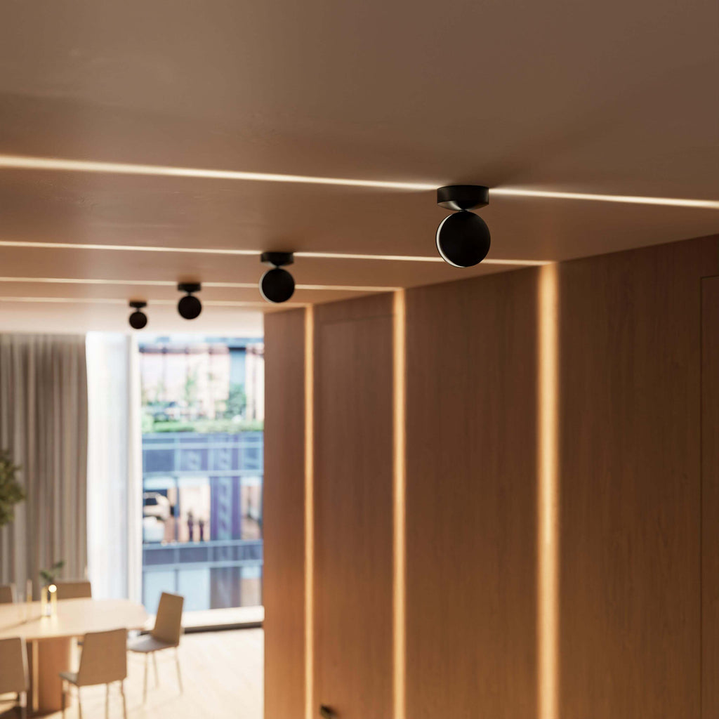 ceiling light shown in source gallery view 10.