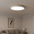 Ceiling Light shown in product gallery view 1 with visible design details.