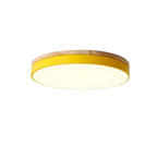 Ceiling Light shown in product gallery view 10 with visible design details.