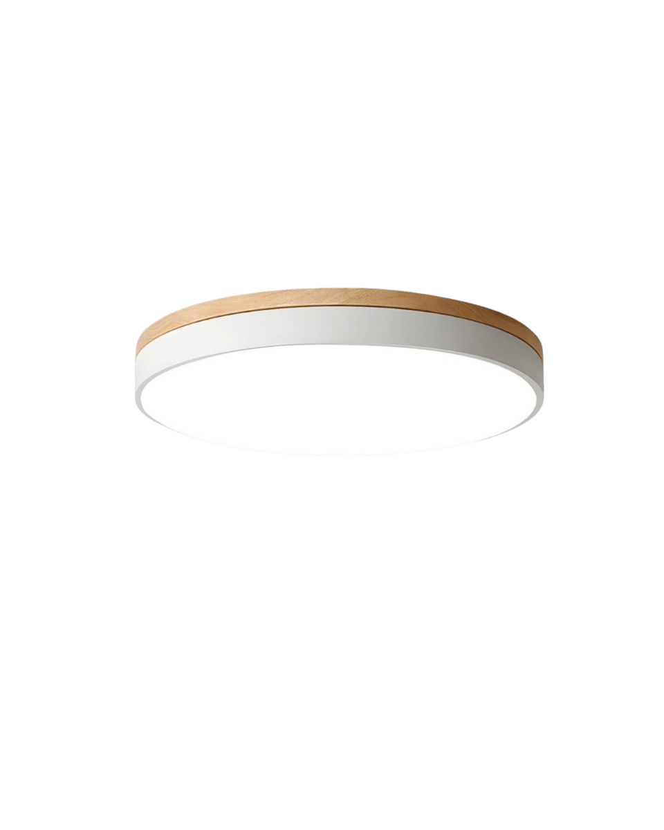 Ceiling Light shown in product gallery view 11 with visible design details.
