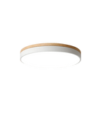 Ceiling Light shown in product gallery view 11 with visible design details.