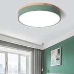 Ceiling Light shown in product gallery view 3 with visible design details.