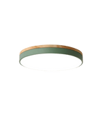 Ceiling Light shown in product gallery view 9 with visible design details.