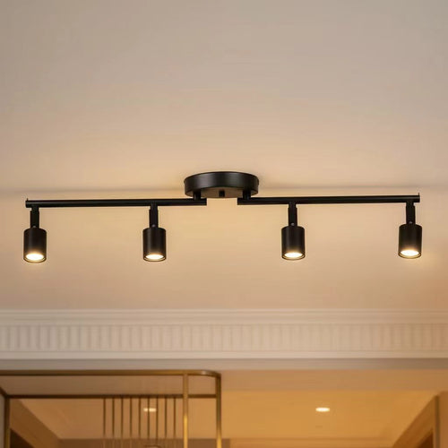 Black four head ceiling track light installed above an interior doorway.