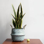 Willow Storage Basket - Foldable Boho Plant Cover - product image 2