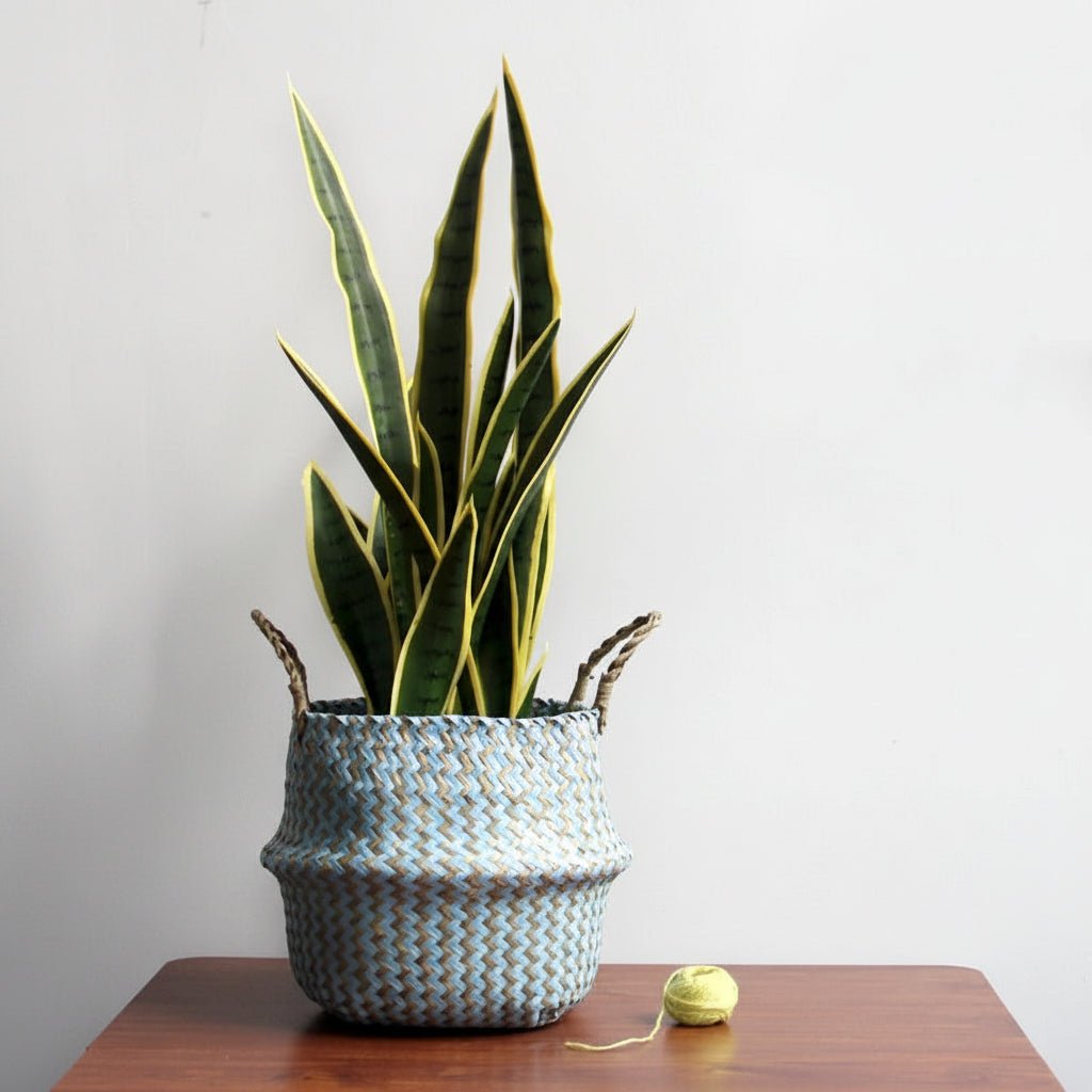 Willow Storage Basket - Foldable Boho Plant Cover - product image 2