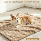 Dog resting on a khaki ribbed blanket with a pet use caption.
