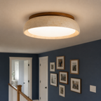 Round flush mount ceiling light illuminating an entryway with dark blue walls, framed art, and a white door.