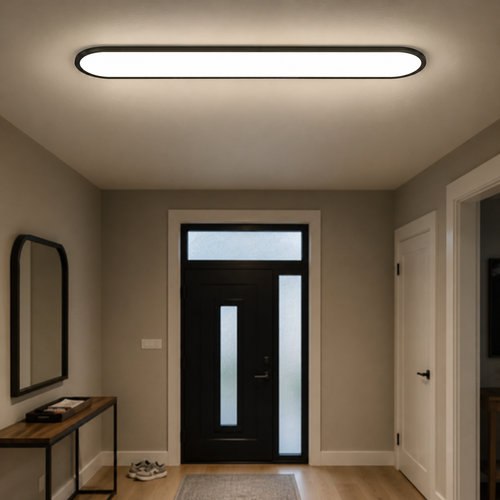 Flush mount ceiling light installed above a modern entry hallway.