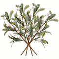 Five frosted artificial mistletoe picks with green leaves white berries and brown stems