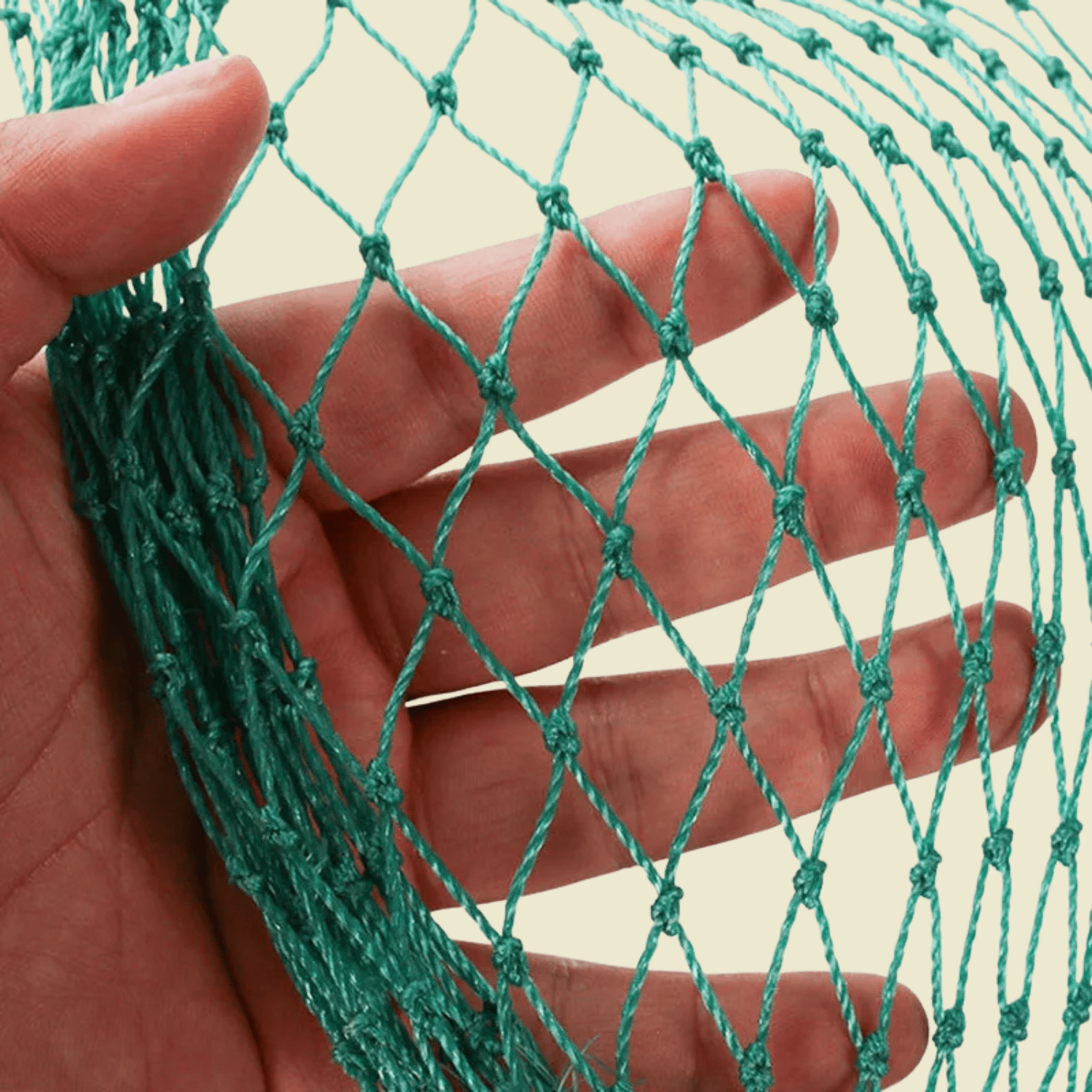 Close view of green two strand garden netting held against a hand