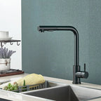 Kitchen Faucet shown in source gallery view 4.