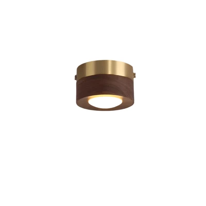 Wood Ceiling Light - Integrated LED Spotlight - product image 9