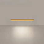 ceiling light shown in source gallery view 18.