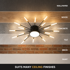 Ceiling light shown against several labeled ceiling finishes from light to dark.