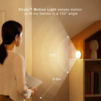 Motion Sensor Light shown in product gallery view 4