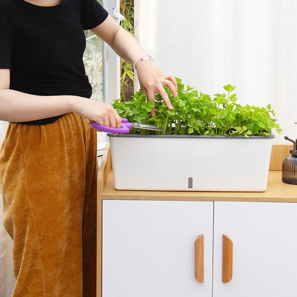Self-Watering Planter | Continuous Moisture Control Pot - Planter product view 3