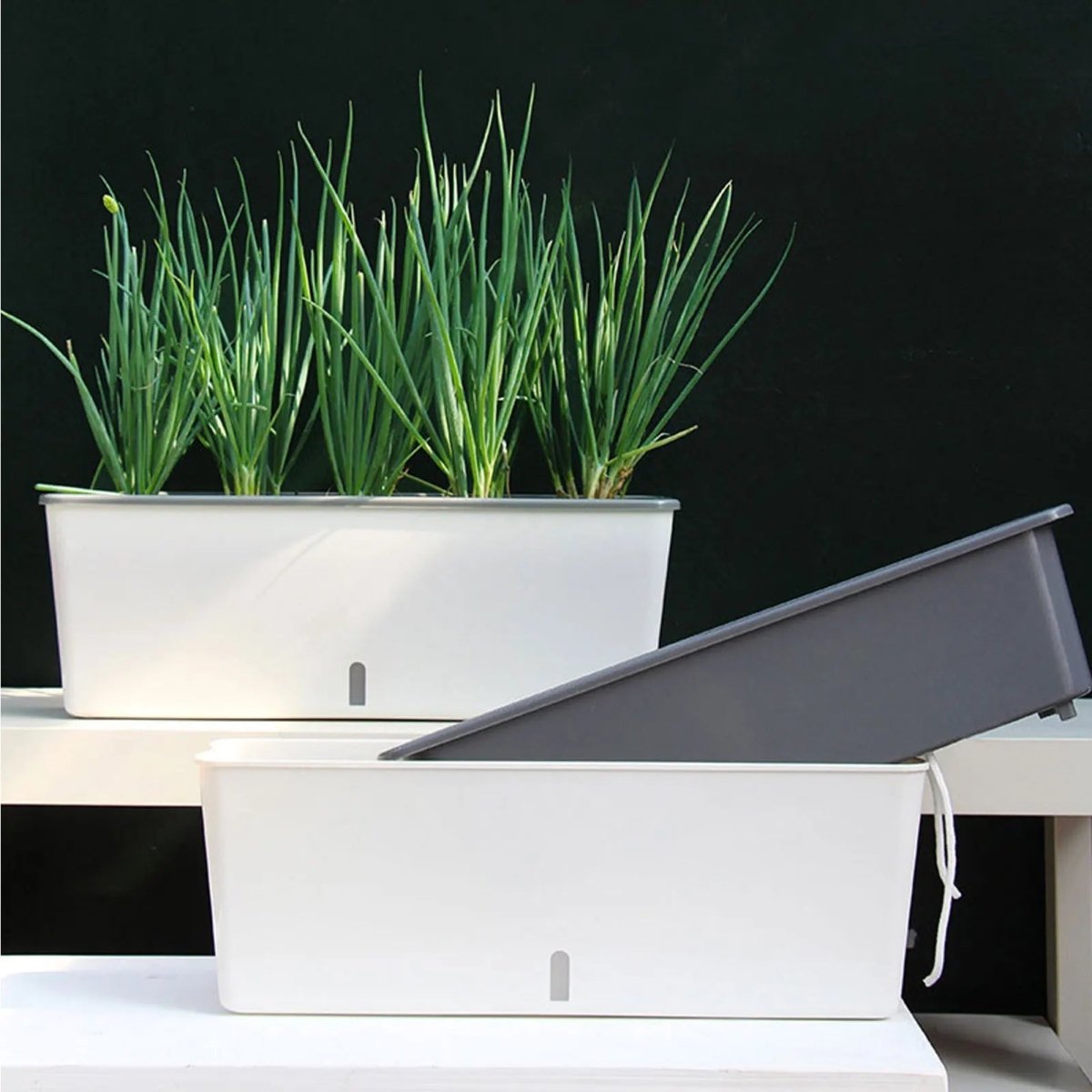Self-Watering Planter | Continuous Moisture Control Pot - Planter product view 5