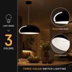 Pendant light feature graphic showing the black dome shade with close-up detail views.