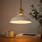 Metal pendant light with a brass socket, twisted brown cord, and exposed warm-glowing bulb.