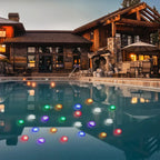Pond Light shown in product gallery view 3 with visible design details.