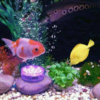 Compact submersible LED light for pools and spas.