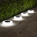 Four cool white solar ground lights illuminating a stone pathway beside a green hedge.