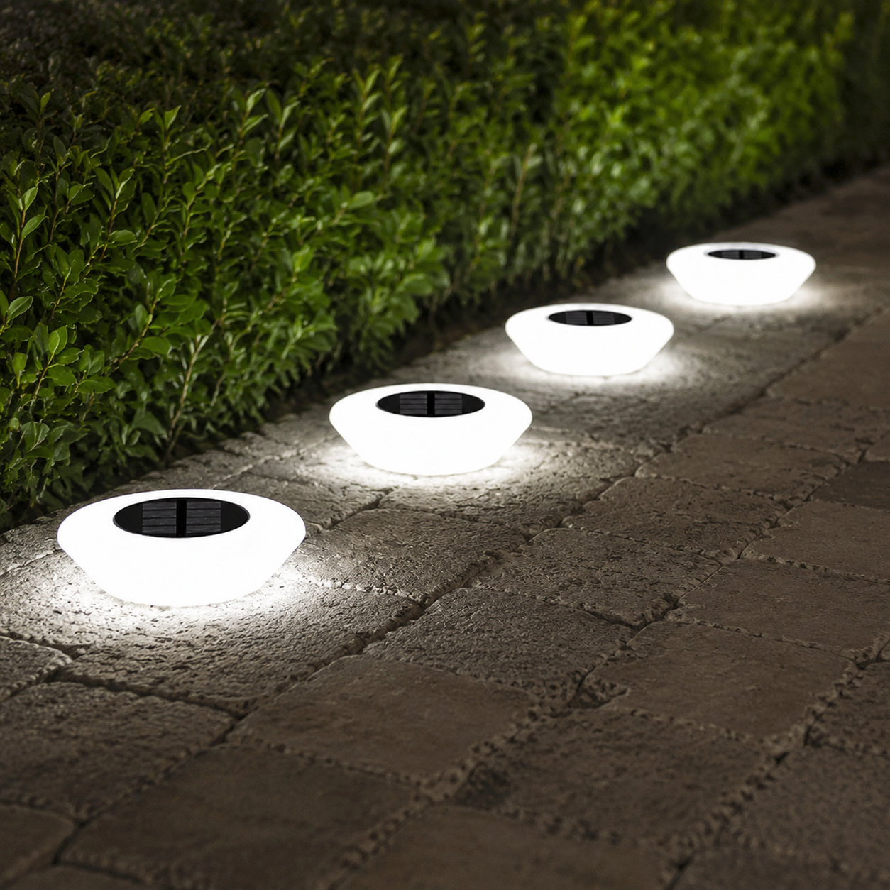 Four cool white solar ground lights illuminating a stone pathway beside a green hedge.