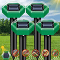 mole repellent set shown in source gallery view 1.