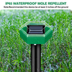 mole repellent set shown in source gallery view 3.