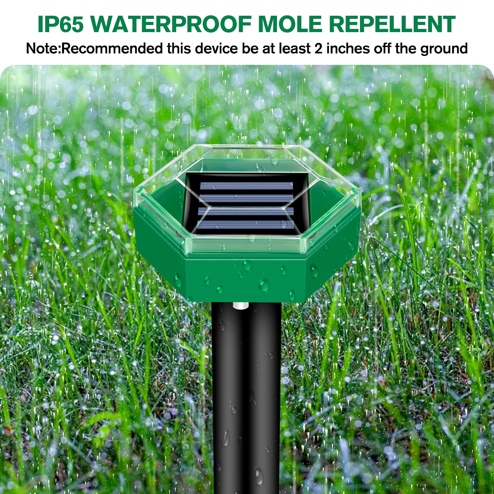 mole repellent set shown in source gallery view 3.