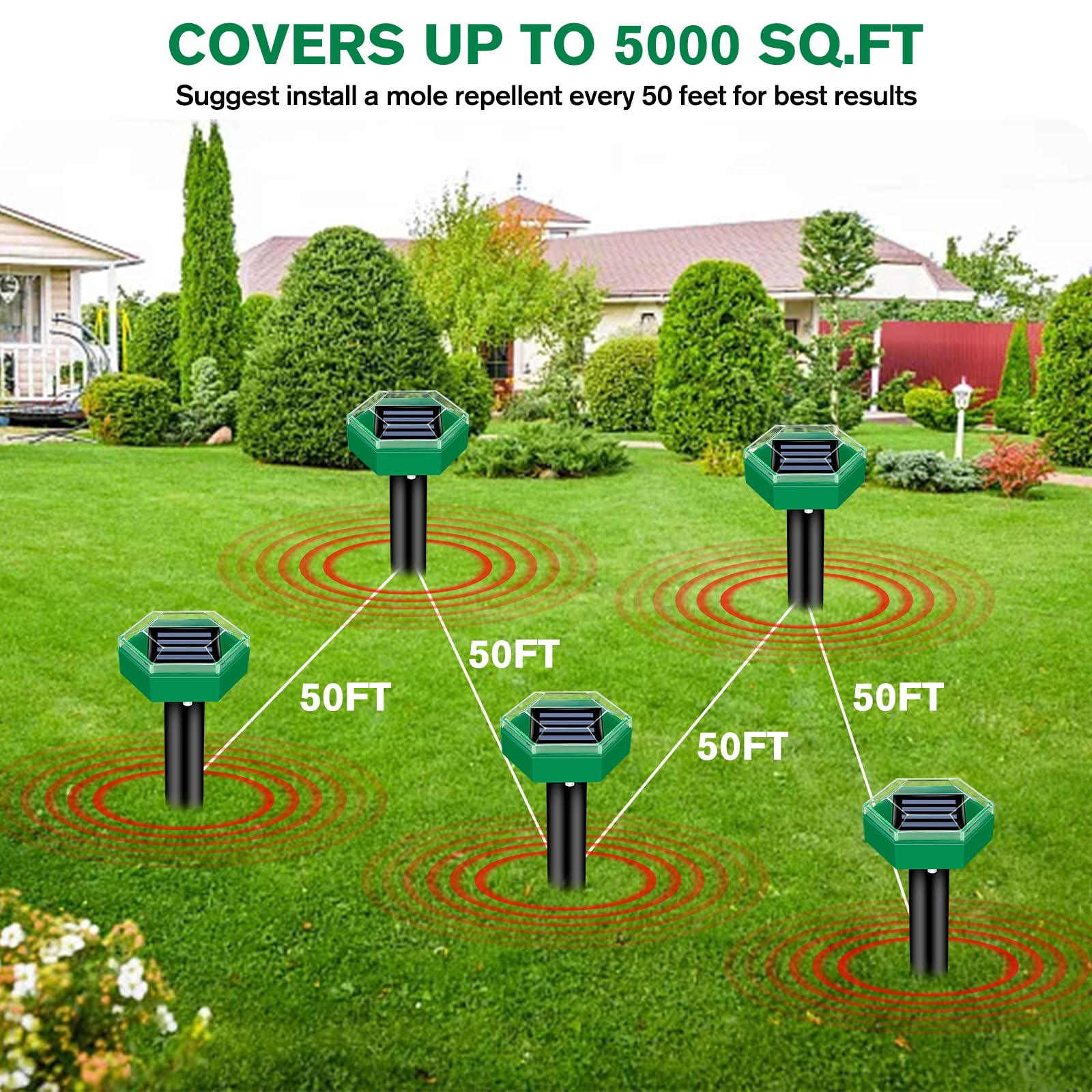mole repellent set shown in source gallery view 5.