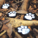 Solar Paw Lights shown in product gallery view 2