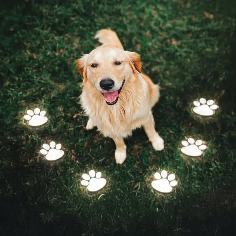 Solar Paw Lights shown in product gallery view 3