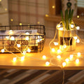 Globe fairy lights glow around a wire basket and a small cactus.