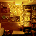 Willow vine fairy lights illuminate a wall of framed pictures.
