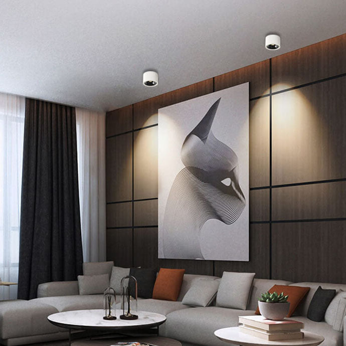 Flush Mount Spotlight shown in product gallery view 10.