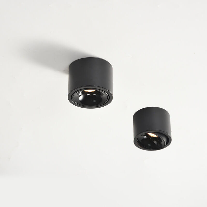 Flush Mount Spotlight shown in product gallery view 13.