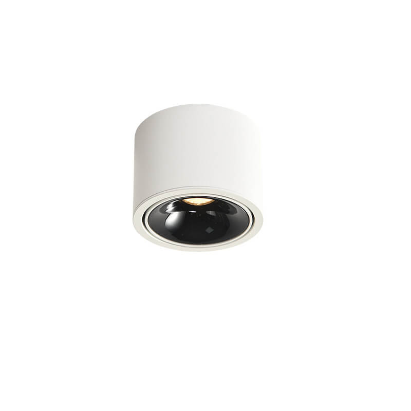 Flush Mount Spotlight shown in product gallery view 17.