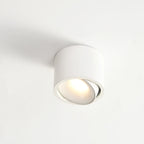 Flush Mount Spotlight shown in product gallery view 18.