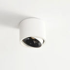 Flush Mount Spotlight shown in product gallery view 20.