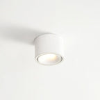Flush Mount Spotlight shown in product gallery view 21.