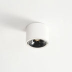 Flush Mount Spotlight shown in product gallery view 22.