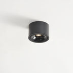 Flush Mount Spotlight shown in product gallery view 23.
