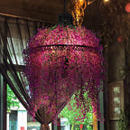 Chandelier shown in product gallery view 4.